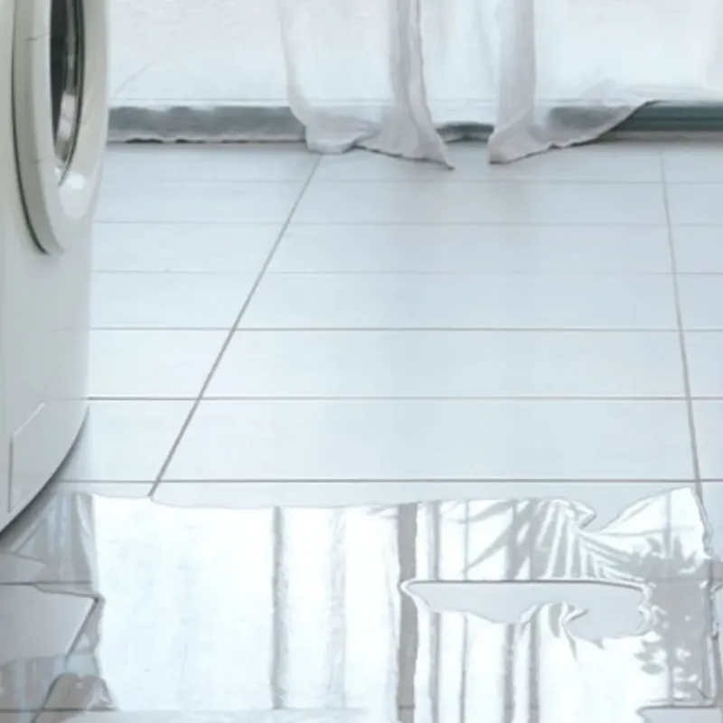 Appliance Leak Cleanup in Alma, AR