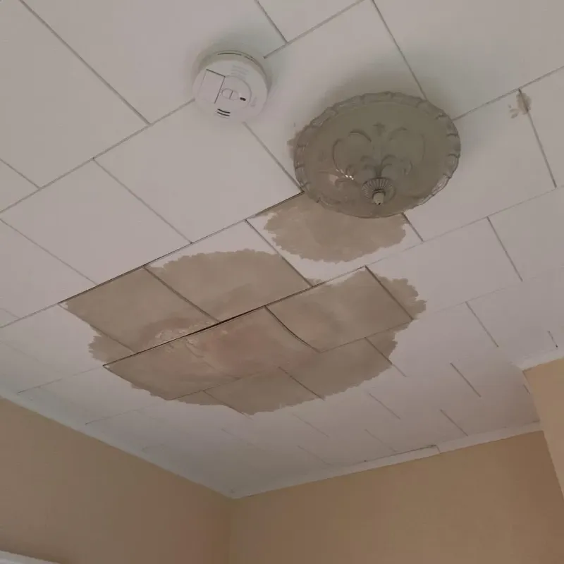 Ceiling Water Damage Repair in Alma, AR