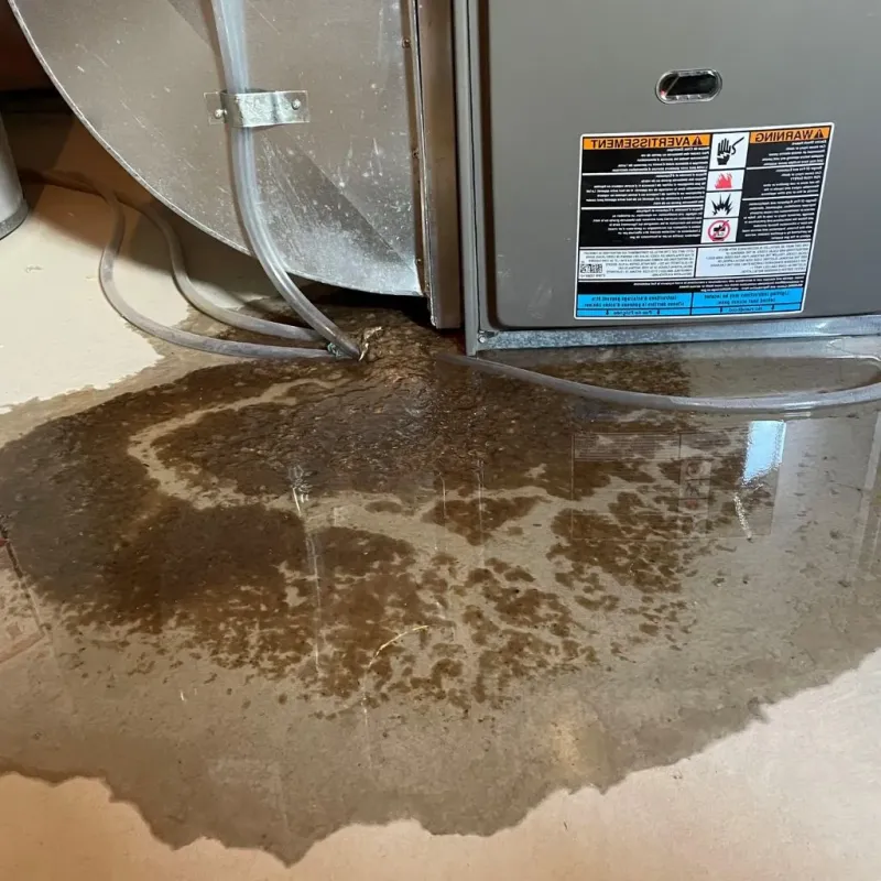 Pipe Burst and Leak Restoration in Alma, AR