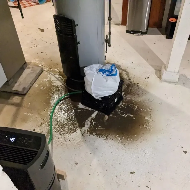Sewage Backup Cleanup Service in Alma, AR